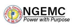 North Georgia Electric